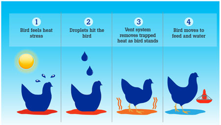 GrowerSELECT Sprinkler System Graphic